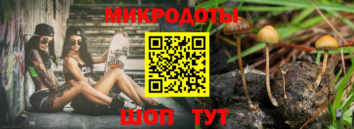 Псилоцибиновые грибы Cubensis Можайск
